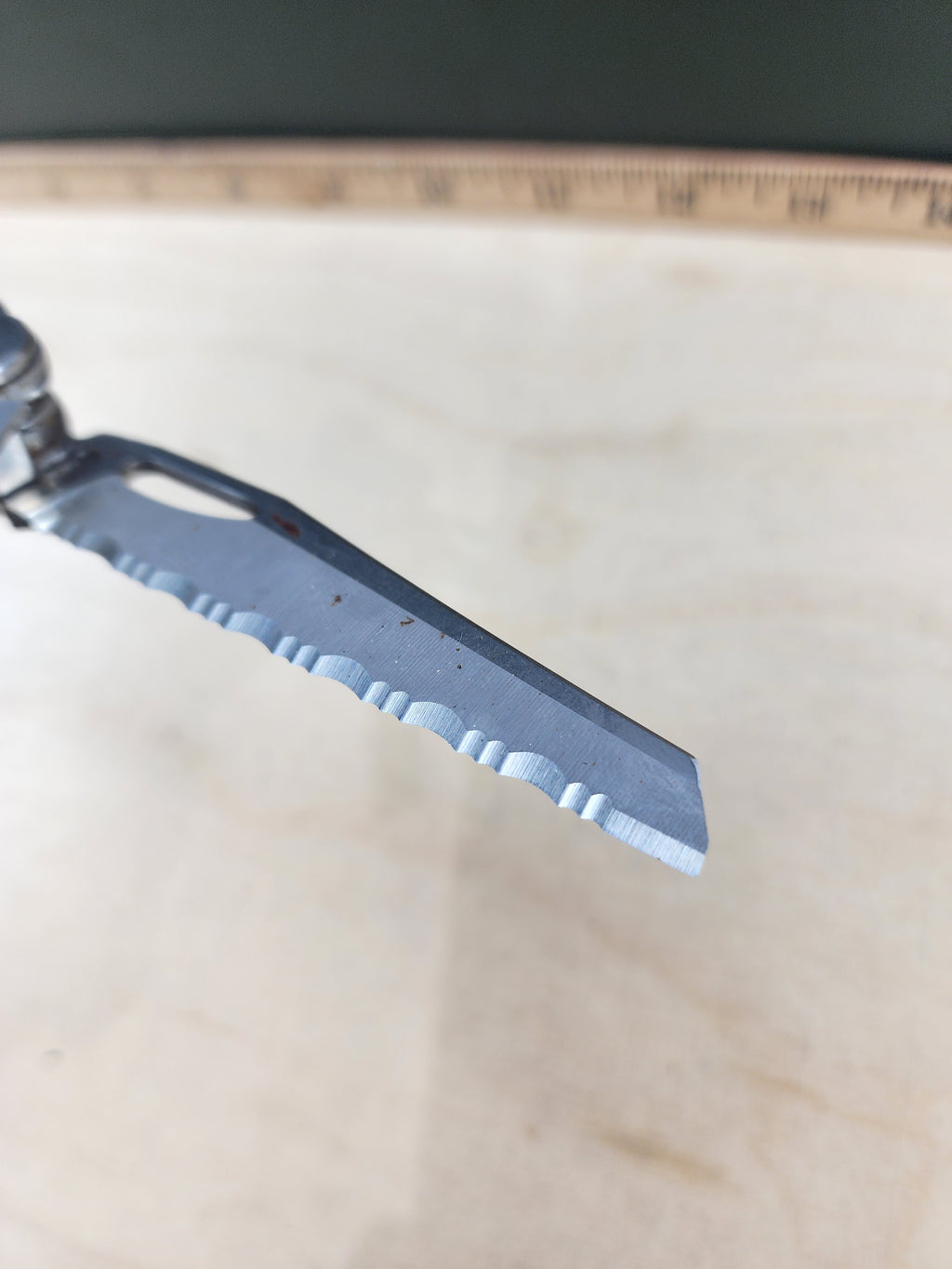 Leatherman Wave Plus #-111 Dirty, rust is present