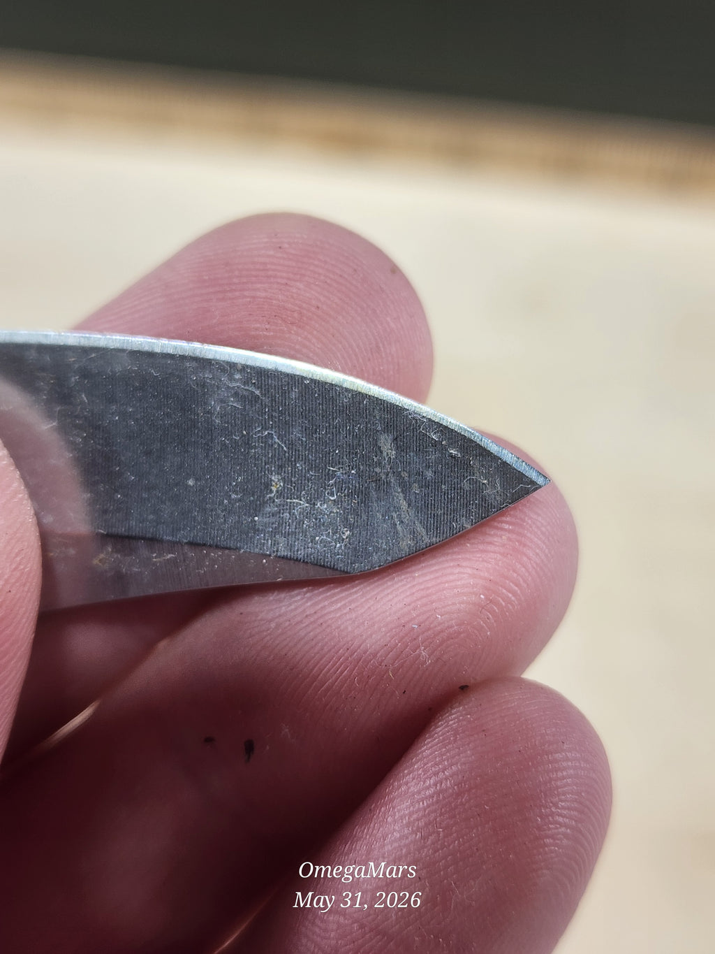 BENCHMADE 555 - 154CM - Mini Griptilain - Light Usage/Dirty - #35Gr