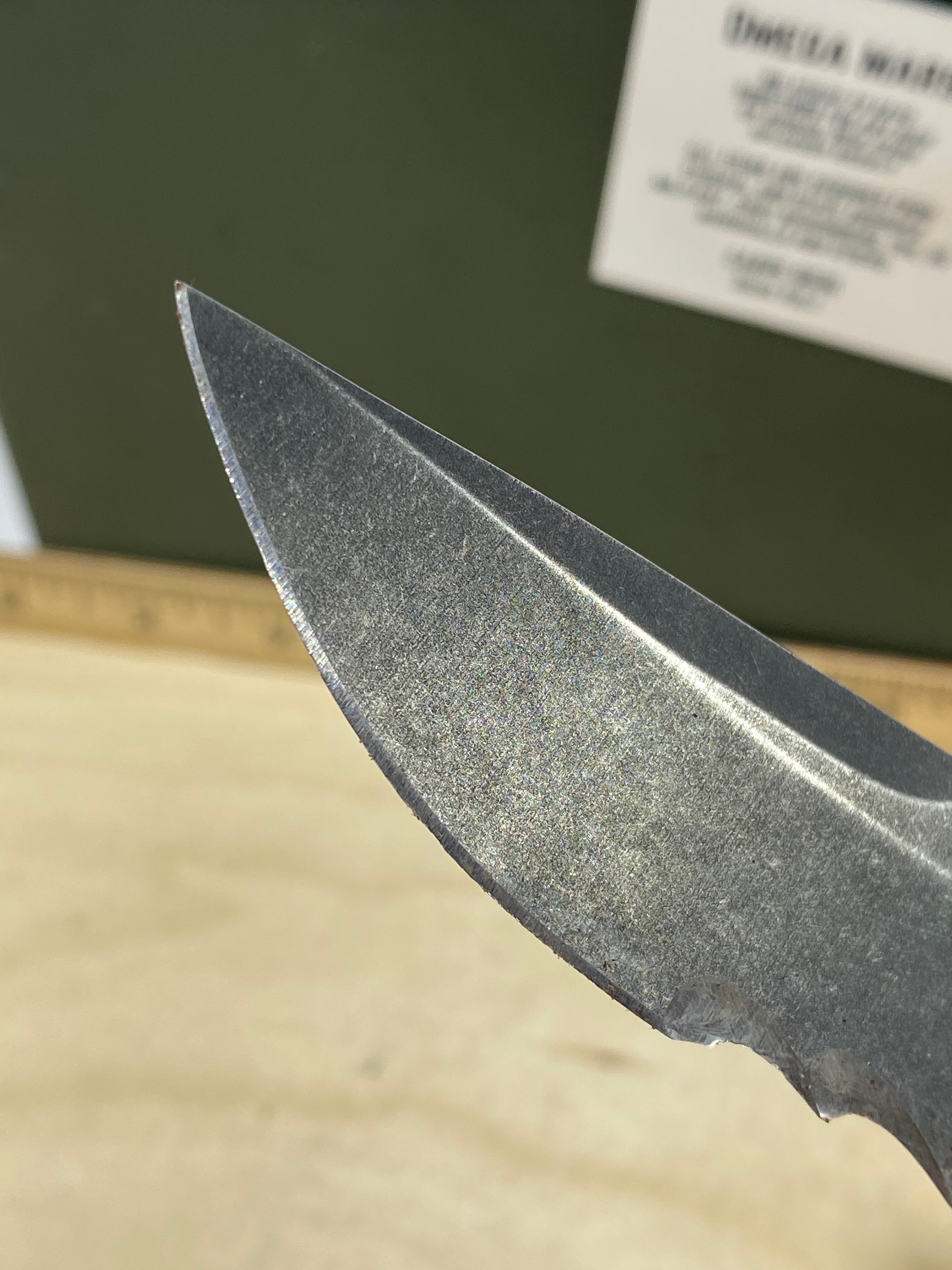 CRKT K800KKP Shenanigan Assisted #137. Light usage. Chip on blade