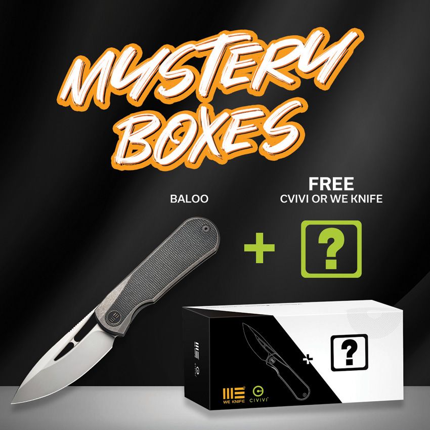 We Knife Co Baloo Mystery Box Micarta - CPM-20CV Titanium + Free Civ or We Knife